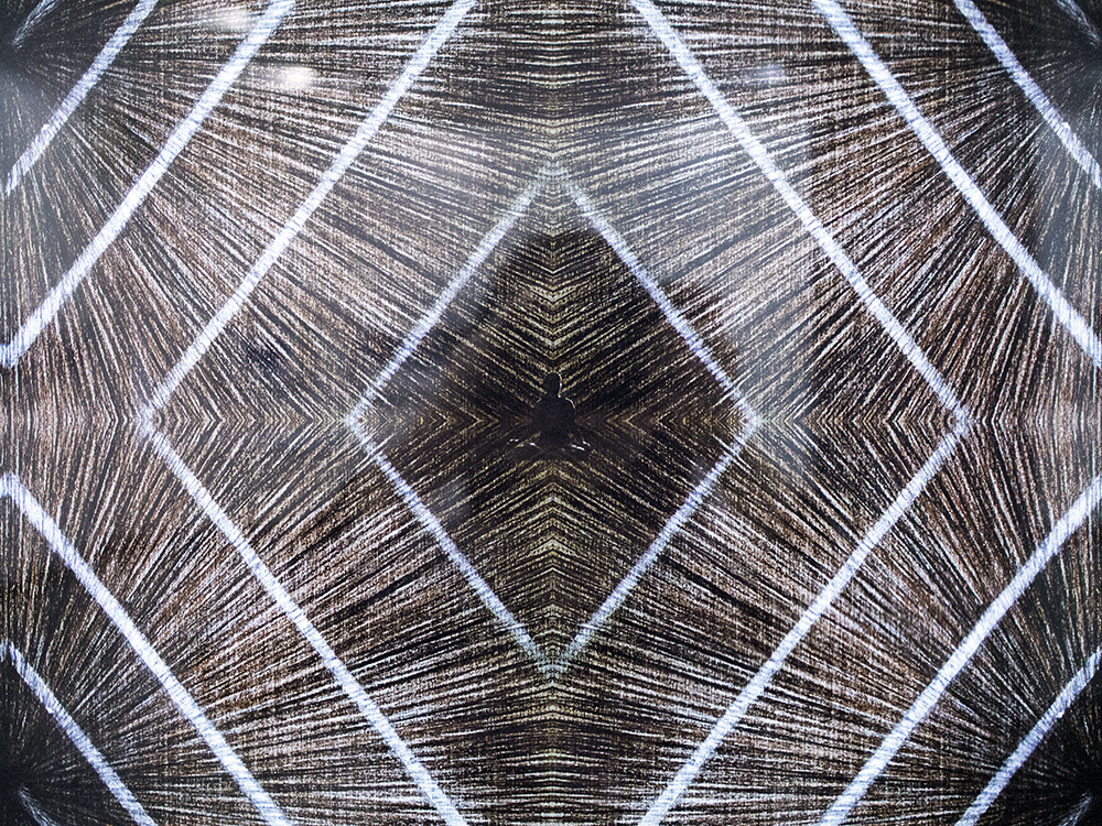 Image6