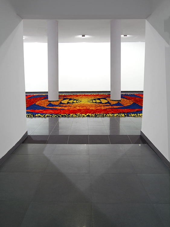 Image9